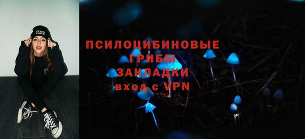 стаф Абинск