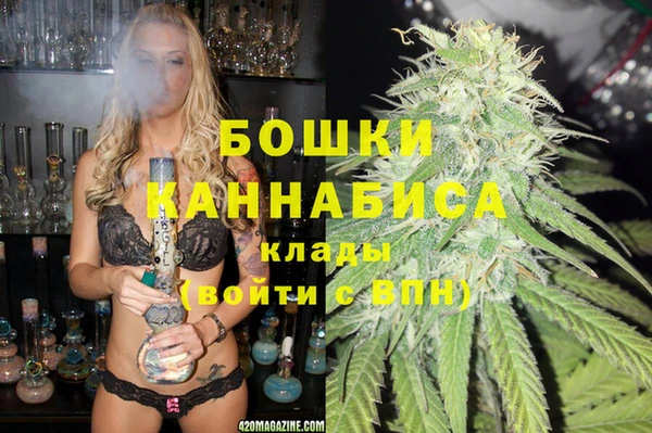 гидра Покровск