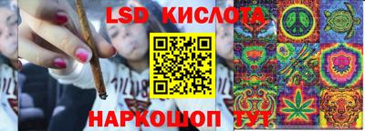 гидра Волгодонск