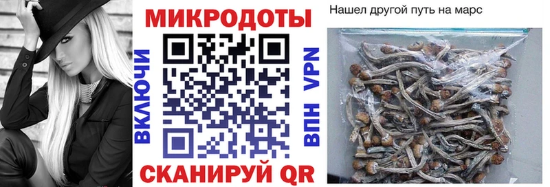 Псилоцибиновые грибы MAGIC MUSHROOMS  Ишимбай 